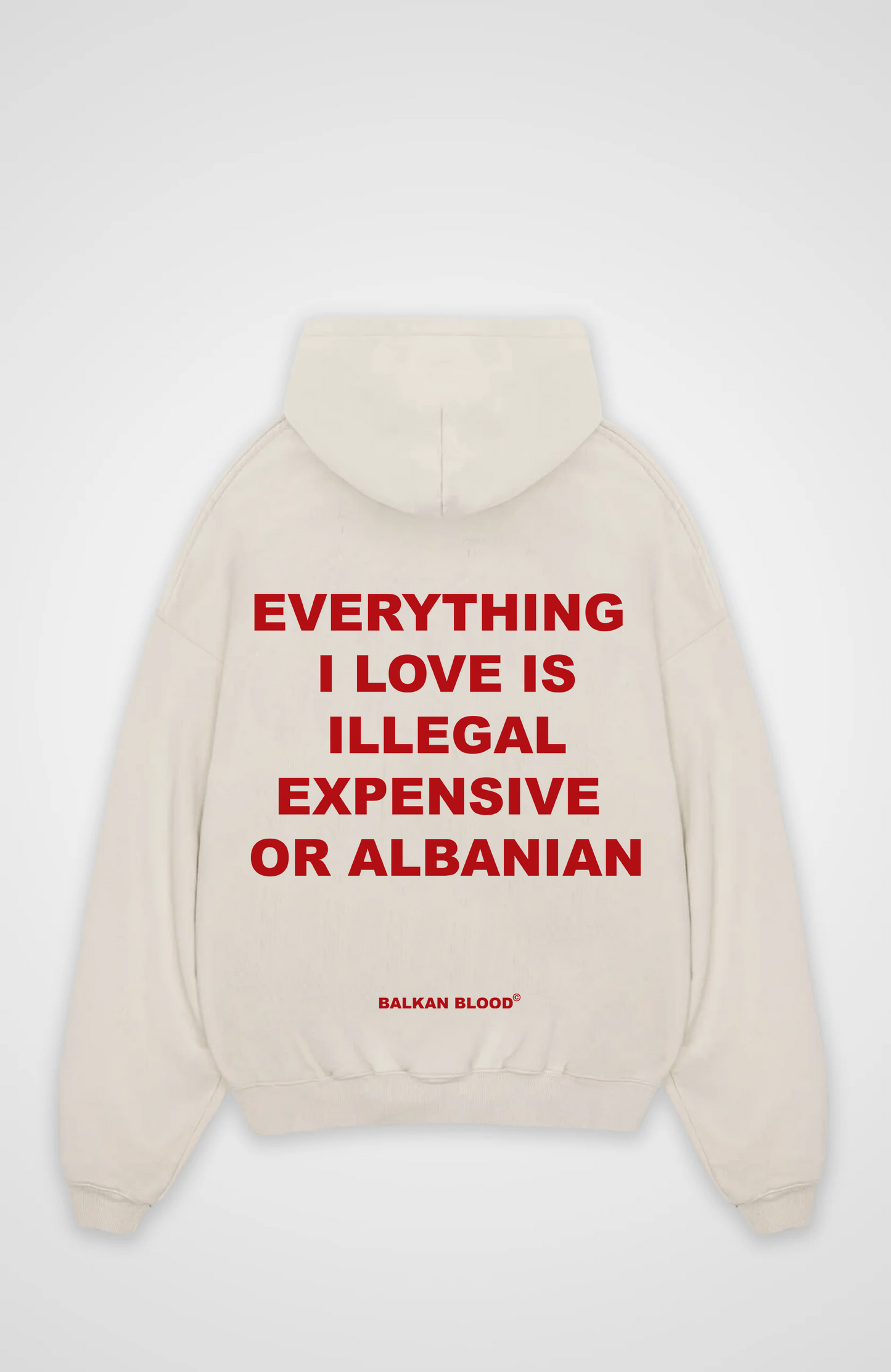 Everything I love Oversized Hoodie