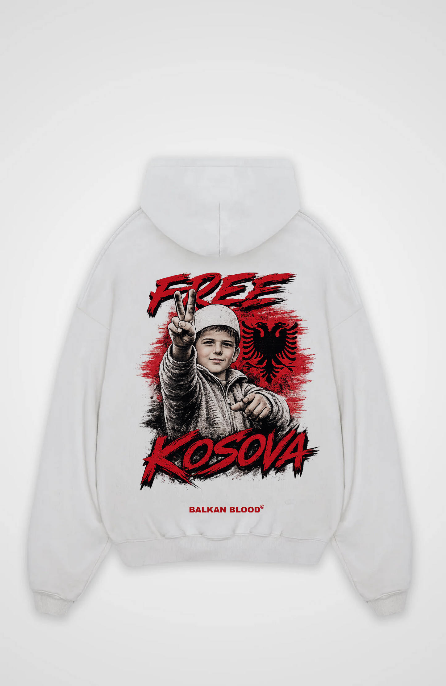Free Kosova Oversized Hoodie