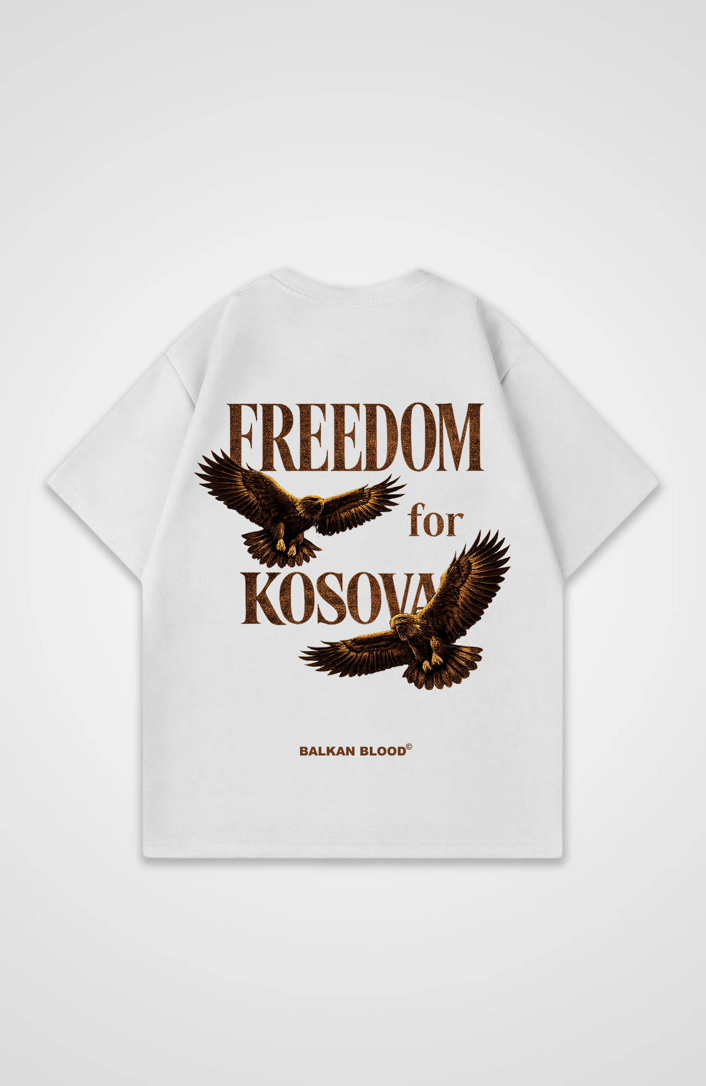 Freedom for Kosovo Oversized T-Shirt