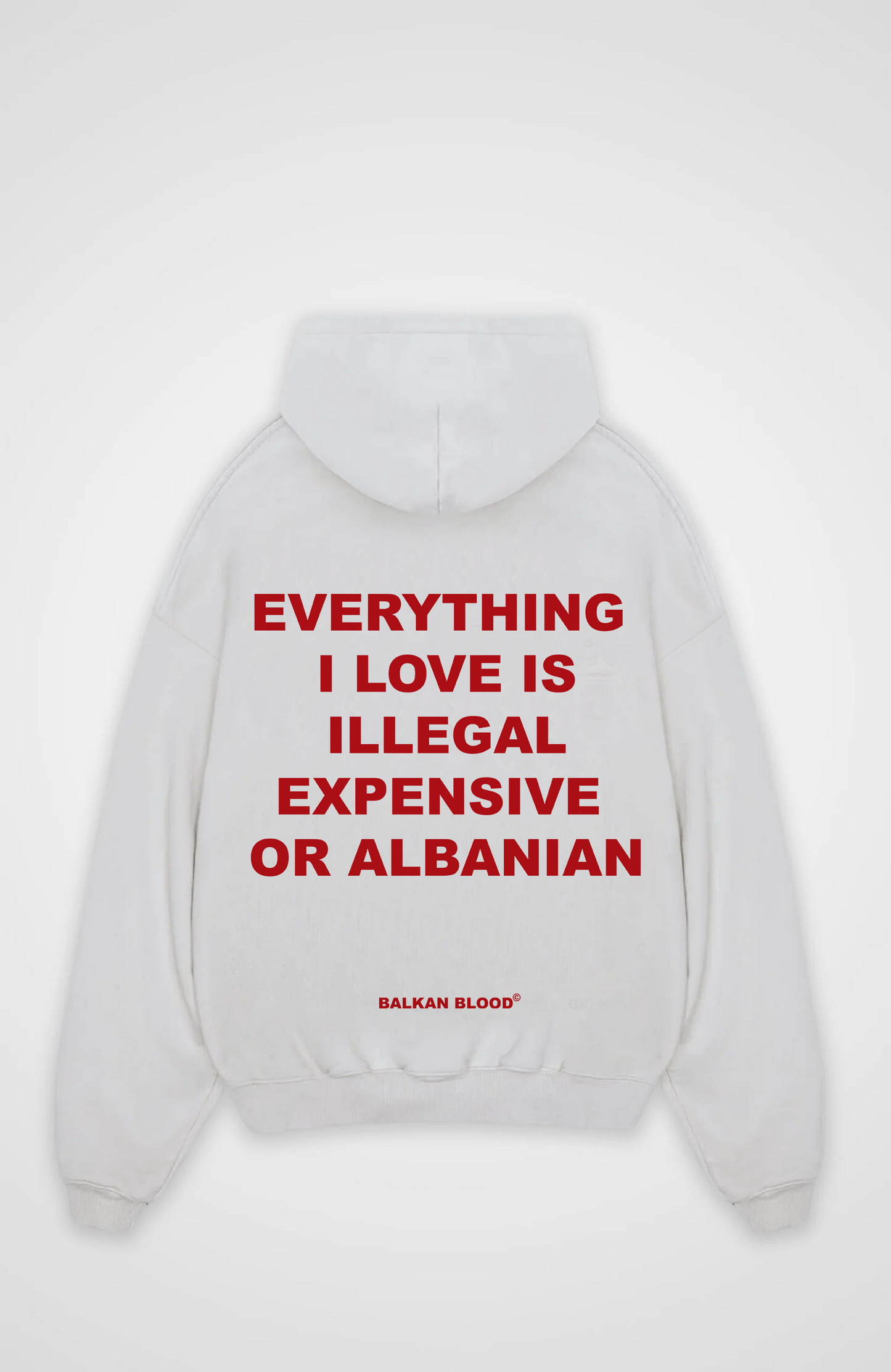 Everything I love  Oversized Hoodie