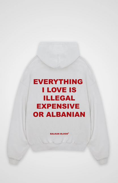Everything I love  Oversized Hoodie